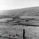 Duerley Bottom, Wensleydale